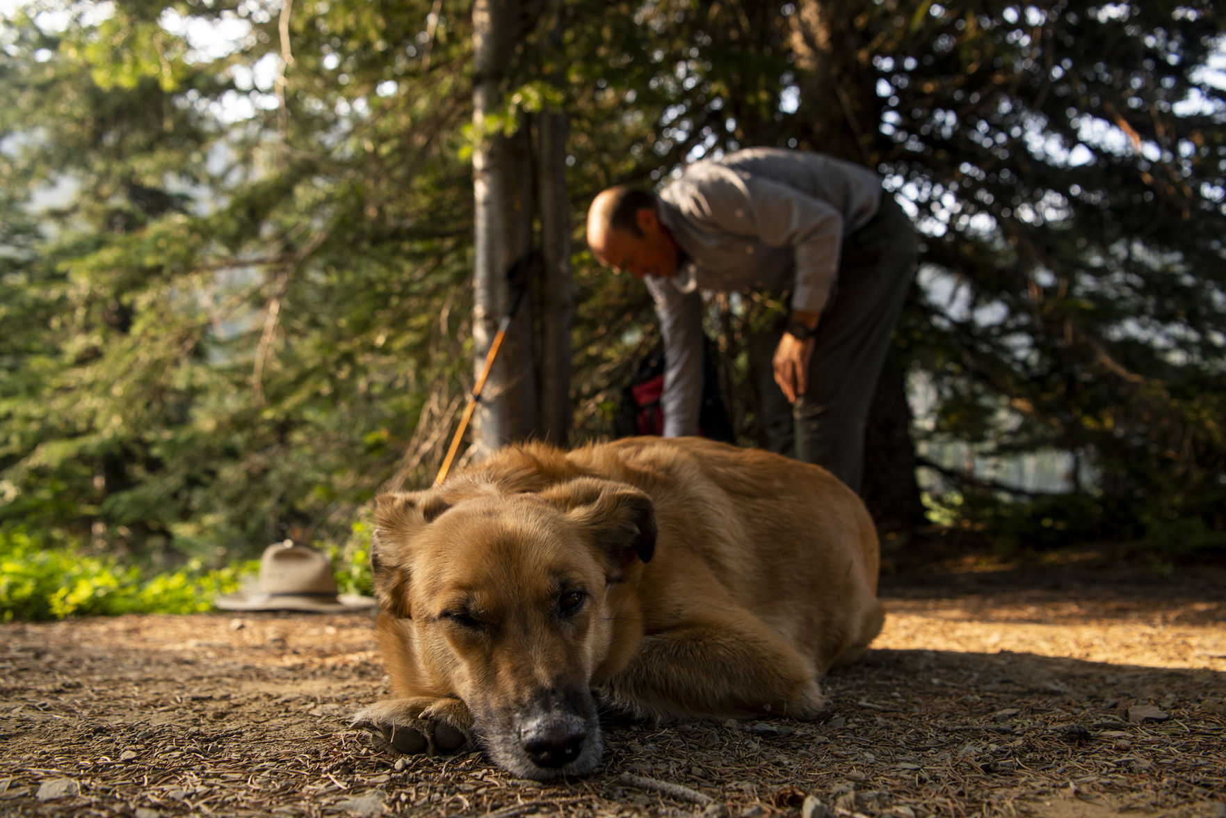Territory: Rattlesnake Wilderness Area 07